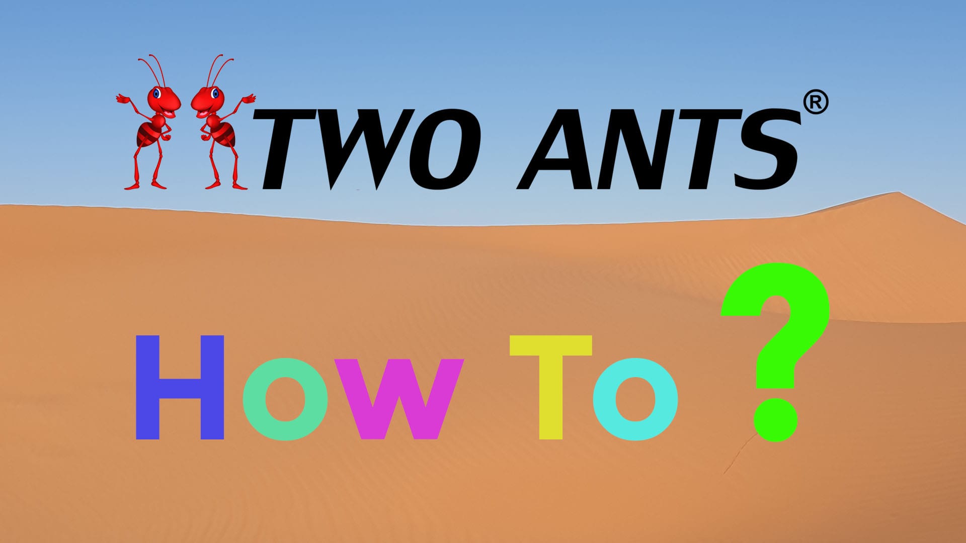 Two Ants How To